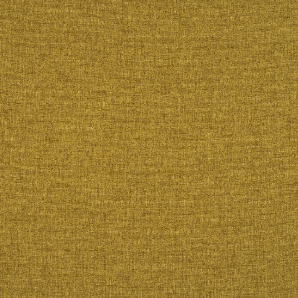 STELLA 51 OLIVE